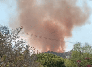 PHOTO: Social Media Post | Debs Park Fire Saturday August 14 2021, 4:00pm