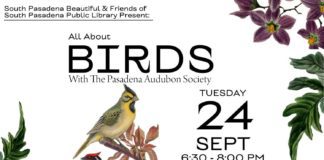 All About Birds: Tuesday, September 24, 2024 6:30 PM 8:00 PM South Pasadena Library Community Room 1115 El Centro StreetSouth Pasadena
