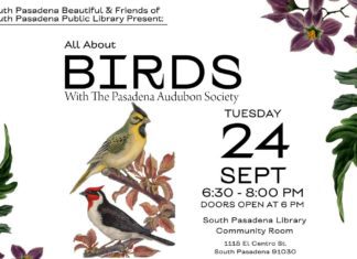 All About Birds: Tuesday, September 24, 2024 6:30 PM 8:00 PM South Pasadena Library Community Room 1115 El Centro StreetSouth Pasadena