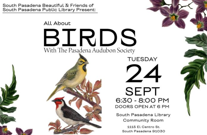 All About Birds: Tuesday, September 24, 2024 6:30 PM 8:00 PM South Pasadena Library Community Room 1115 El Centro StreetSouth Pasadena