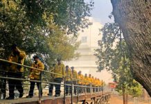 Opinion | Thank You South Pasadena Firefighters!