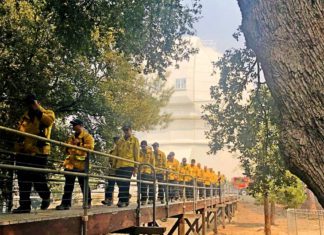 Opinion | Thank You South Pasadena Firefighters!
