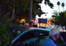 Car Accident Thursday | Diamond & Monterey Traffic Jammed