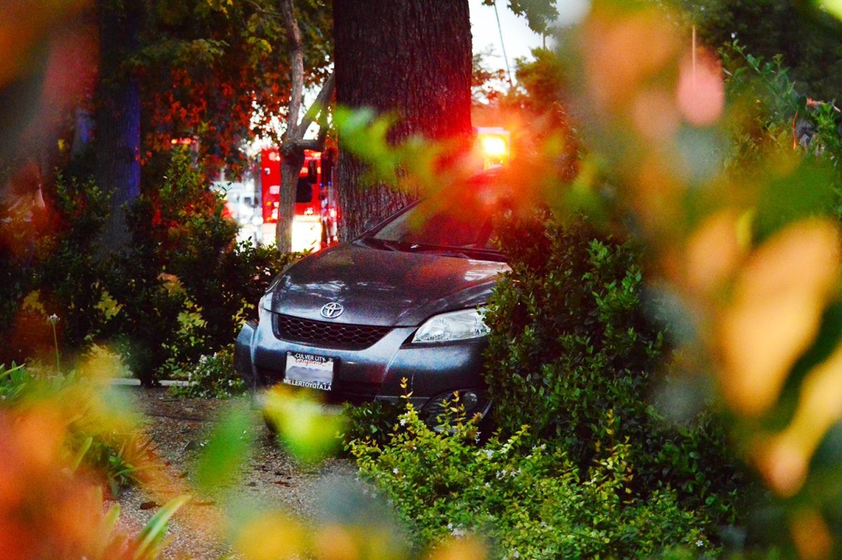 | The South Pasadenan | South Pasadena News