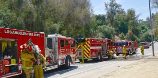 The South Pasadenan News | Structure Fire at Arroyo Park on Marmion Way 1:30pm Sunday. South Pasadena Fire, Los Angeles Fire Departments on scene.