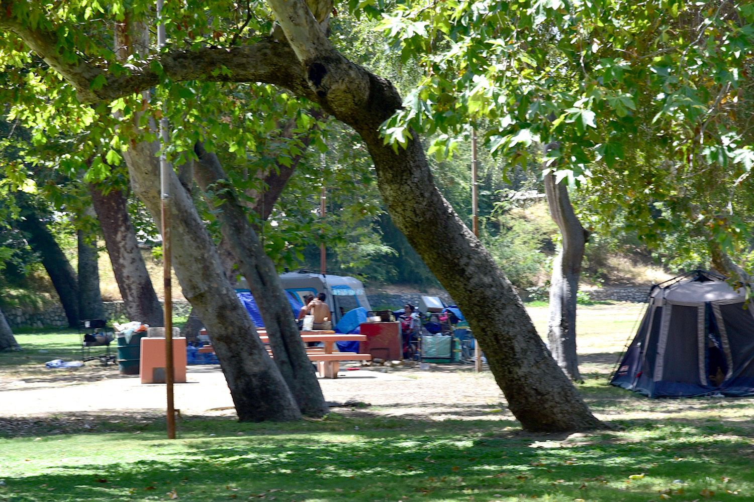 | The South Pasadenan | South Pasadena News Homeless encampment in Arroyo Park on Marmion Way. Reports say it's been there for at least 10 weeks. (August 11, 2024)