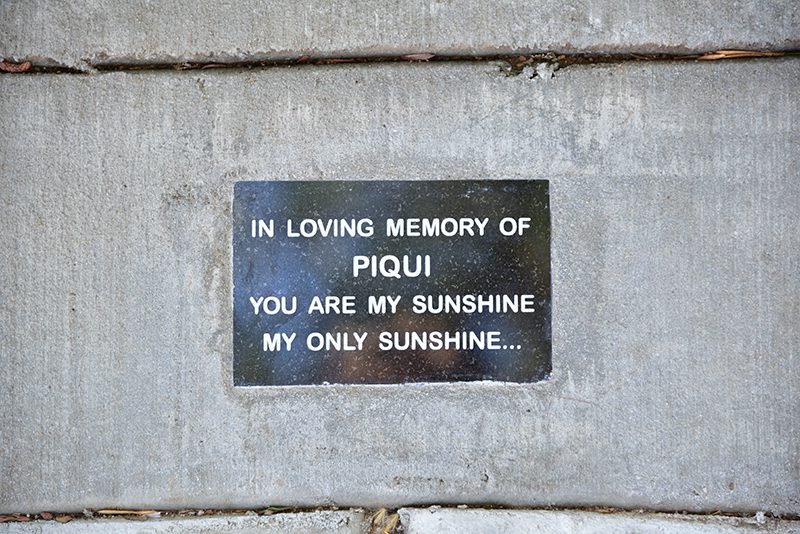 South-Pasadenan-1-22-2018-Ana-Estevez-Piqui-Memorial-Bench-Dedication-Garfield-Park (5) | The South Pasadenan | South Pasadena News