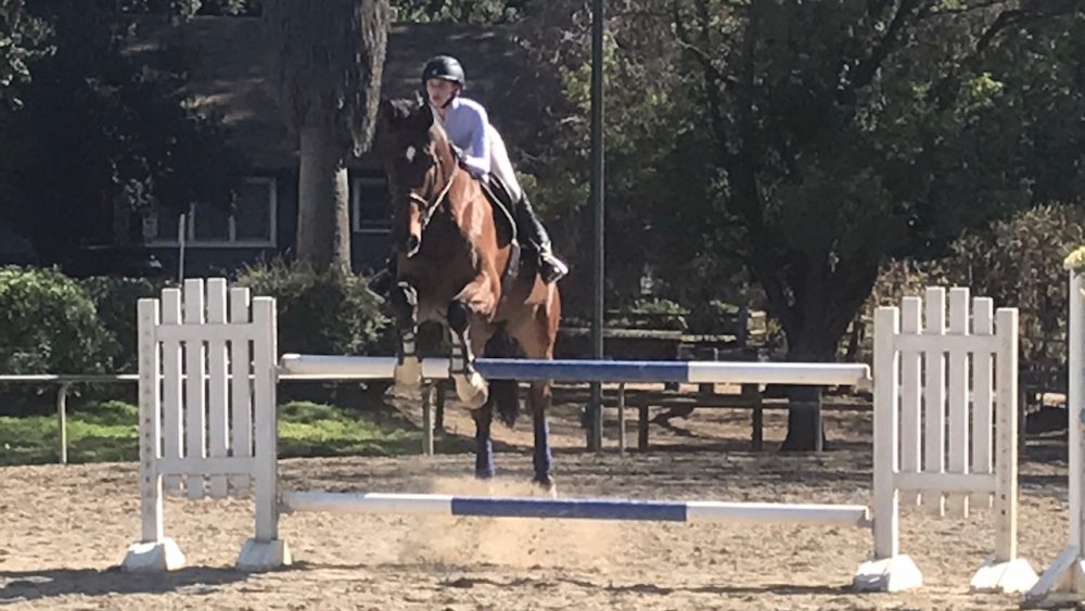 South-Pasadenan-News-11-9-2017-SAN-PASCUAL-STABLES-Sokolow-Hunter-Jumper (1) | The South Pasadenan | South Pasadena News