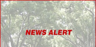 NEWS ALERT: High Wind Warnings Issued