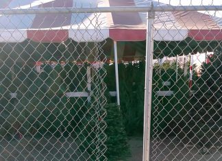 Brazen Vandalism and Theft: Mission & Fremont Business