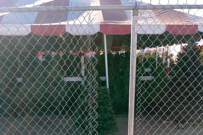 South-Pasadenan-News-12-9-2017-Christmas-Tree-Business-Theft-Vandalism-01