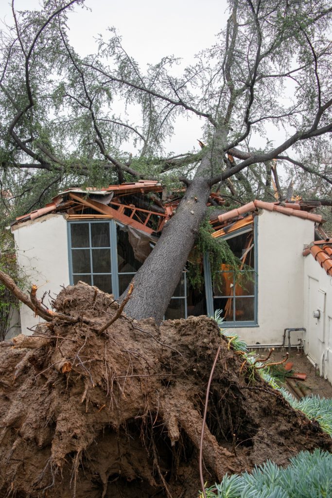 | The South Pasadenan | South Pasadena News FILE PHOTO: Esteban Lopez | Tree falls during a Feb. 2019 2nd major rainstorm in two weeks. The damaged house on the 200 block of Hillside Street in South Pasadena.