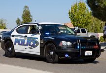 South Pasadena Weekly Crime Summary