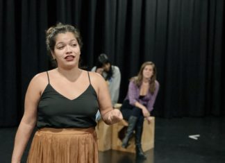 ensemble-shakespeare-what-you-will