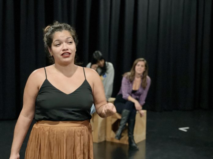 ensemble-shakespeare-what-you-will