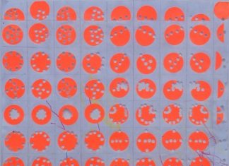 Emily De Araujo – SPARC Gallery Artist Talk
