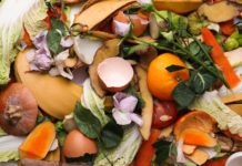 State Mandate | Food Scrap Collection for Single-Family Home Residents