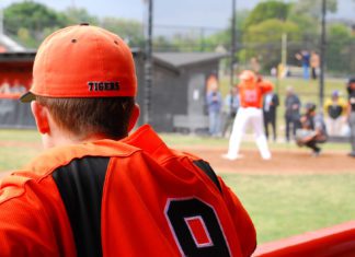 SPHS Tiger Alumni Baseball Game | Calling All Players