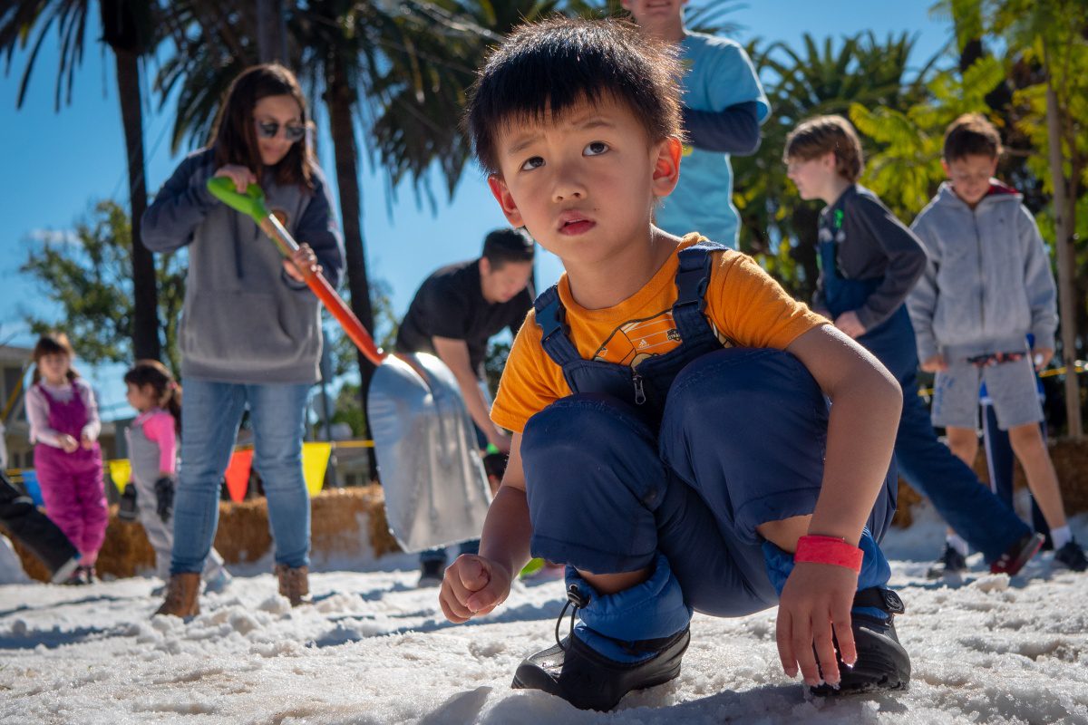 south-pasadena-news-01-21-2019-snow-day-in-south-pasadena-garfield-park-03 | The South Pasadenan | South Pasadena News