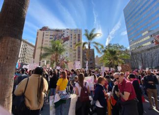 South Pasadena Represents at Women’s March | Residents Join Over 300,000 in LA