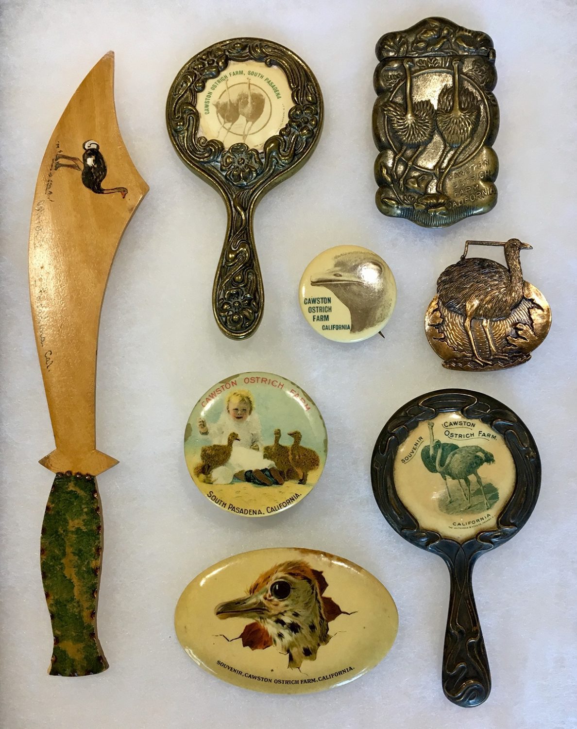 south-pasadena-news-01-24-2019-throwback-thursday-keepsakes-from-cawston-ostrich-farm-02 | The South Pasadenan | South Pasadena News