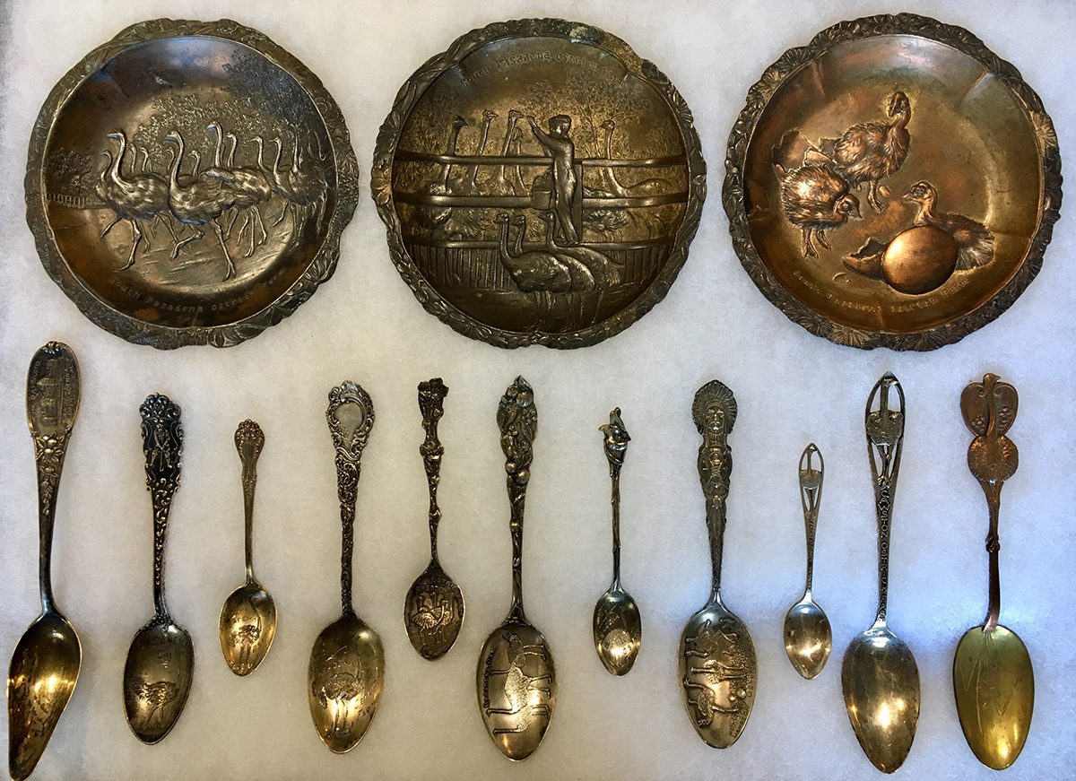 south-pasadena-news-01-24-2019-throwback-thursday-keepsakes-from-cawston-ostrich-farm-03 | The South Pasadenan | South Pasadena News
