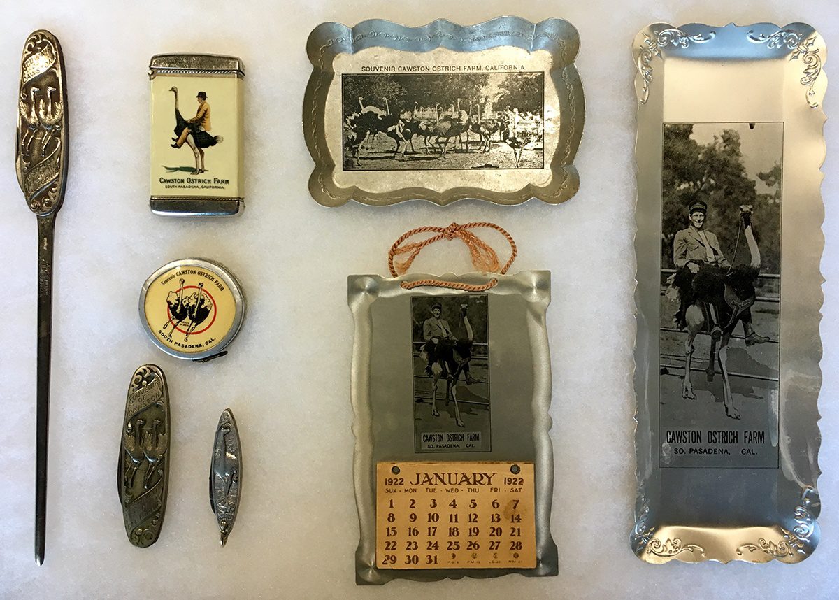 south-pasadena-news-01-24-2019-throwback-thursday-keepsakes-from-cawston-ostrich-farm-05 | The South Pasadenan | South Pasadena News