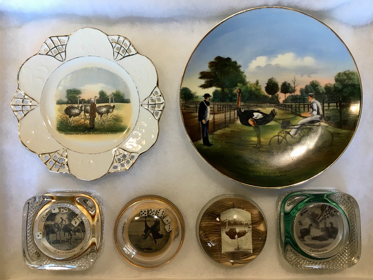 south-pasadena-news-01-24-2019-throwback-thursday-keepsakes-from-cawston-ostrich-farm-06 | The South Pasadenan | South Pasadena News