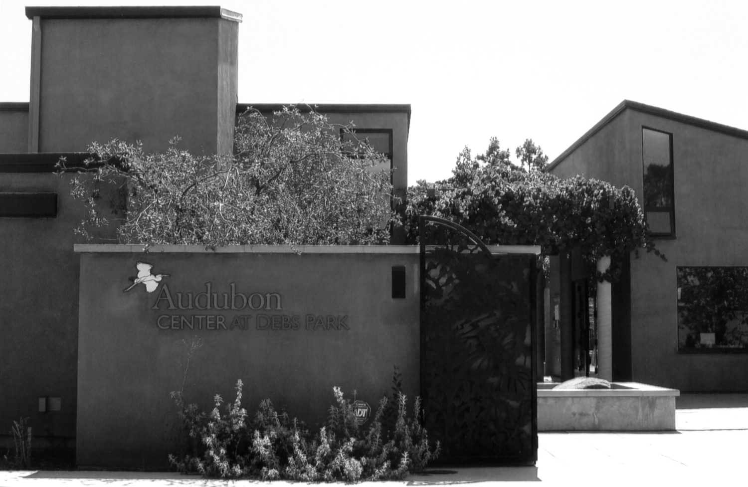 | The South Pasadenan | South Pasadena News