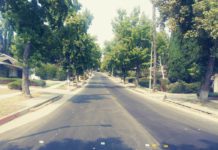 Tree Trimming in Monterey Hills | South Pasadena Wildfire Resilience Strategy