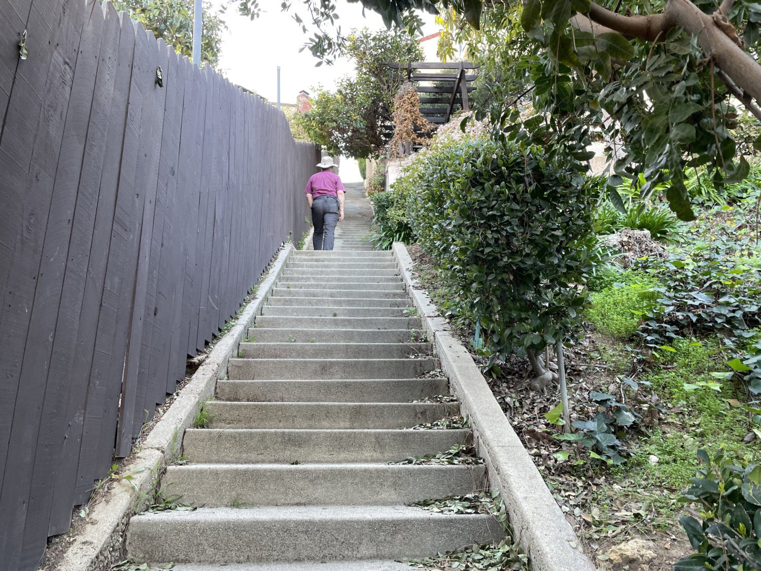 | The South Pasadenan | South Pasadena News