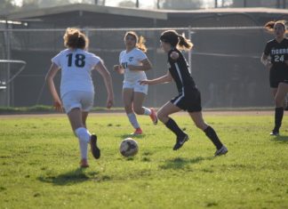 Playoffs for Girls Soccer.