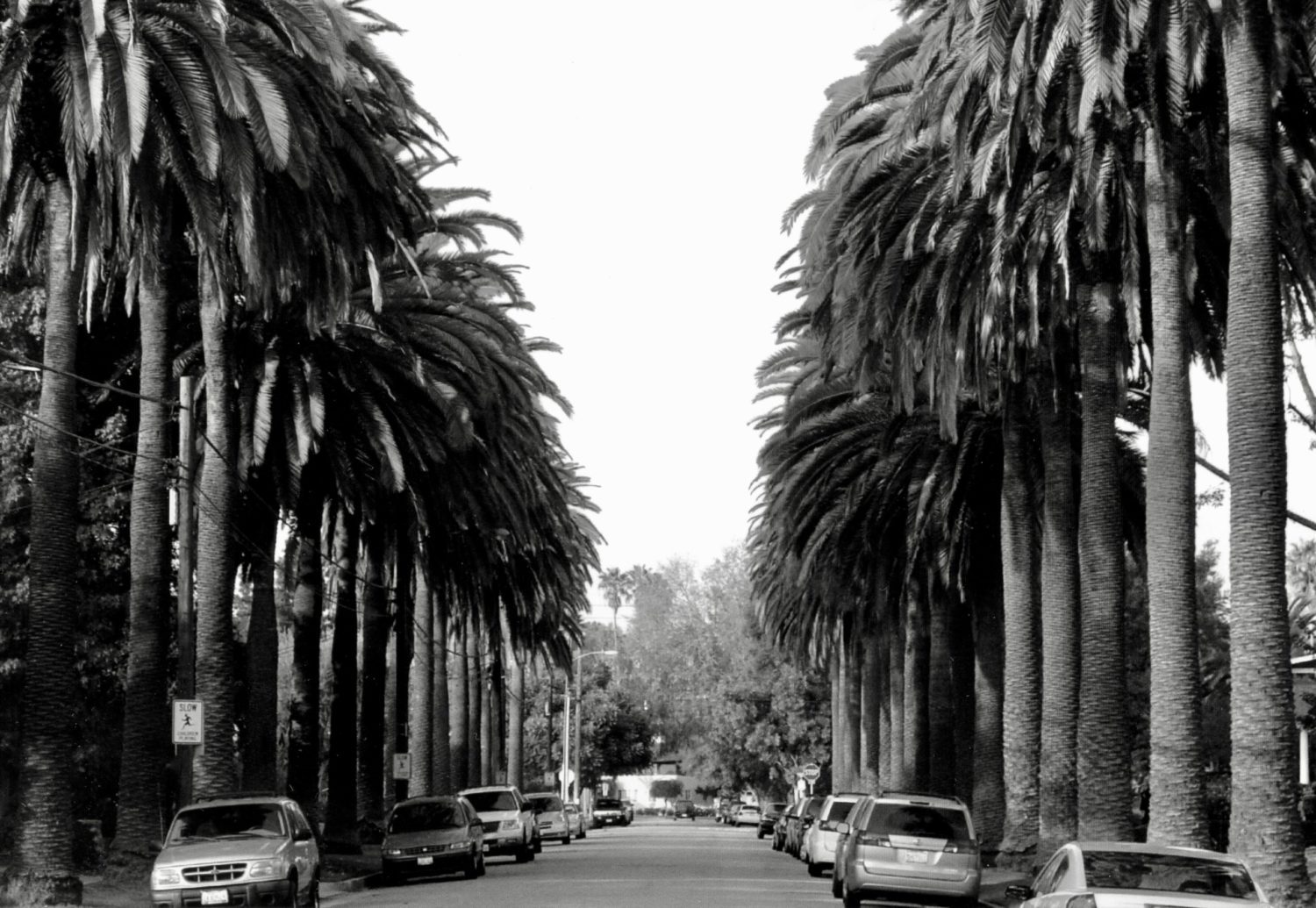 | The South Pasadenan | South Pasadena News
