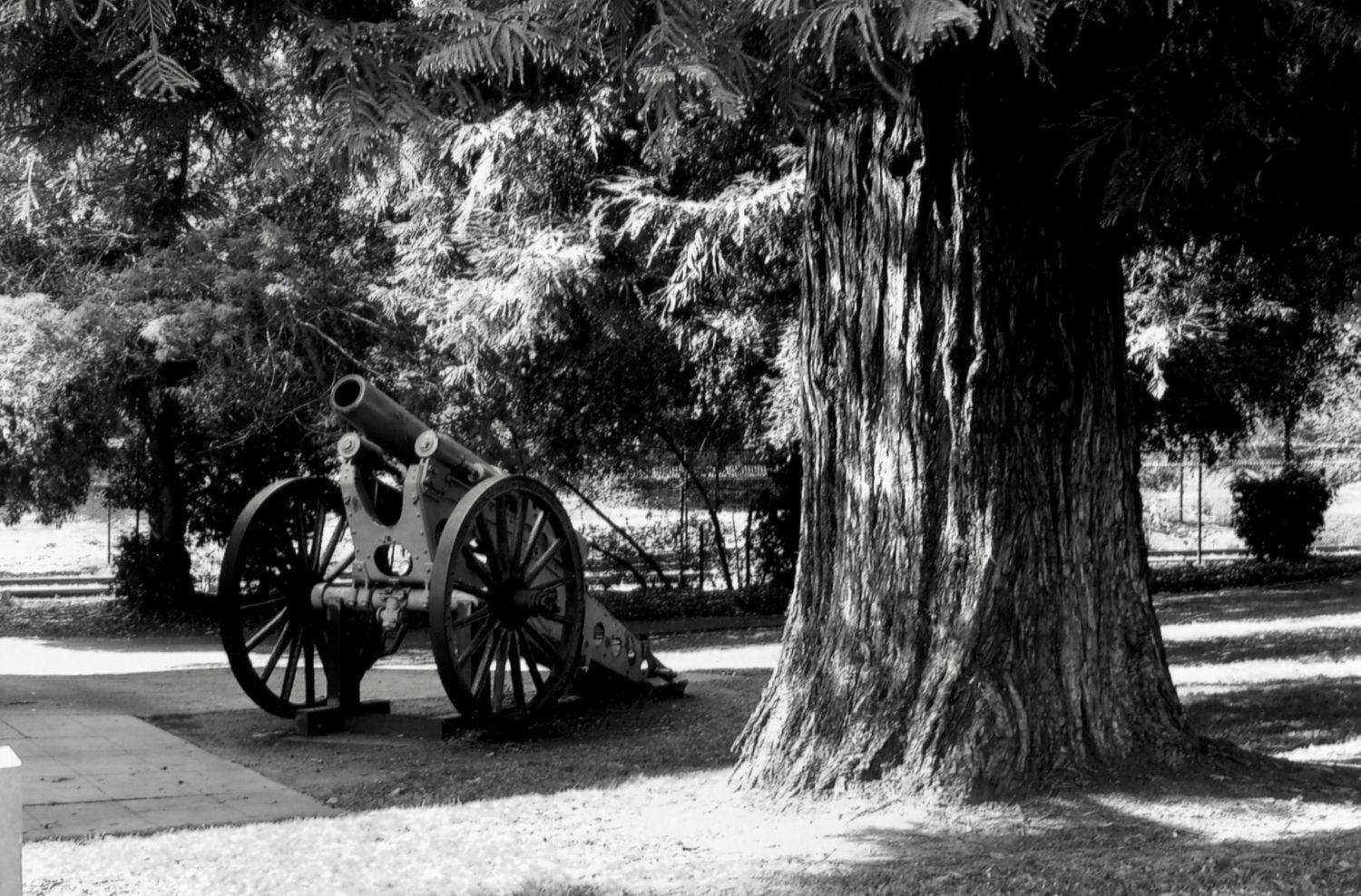 | The South Pasadenan | South Pasadena News
