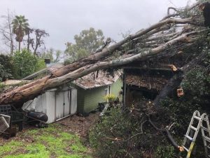 | The South Pasadenan | South Pasadena News