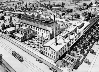Throwback Thursday | South Pasadena’s World-Famous Ostrich Farm