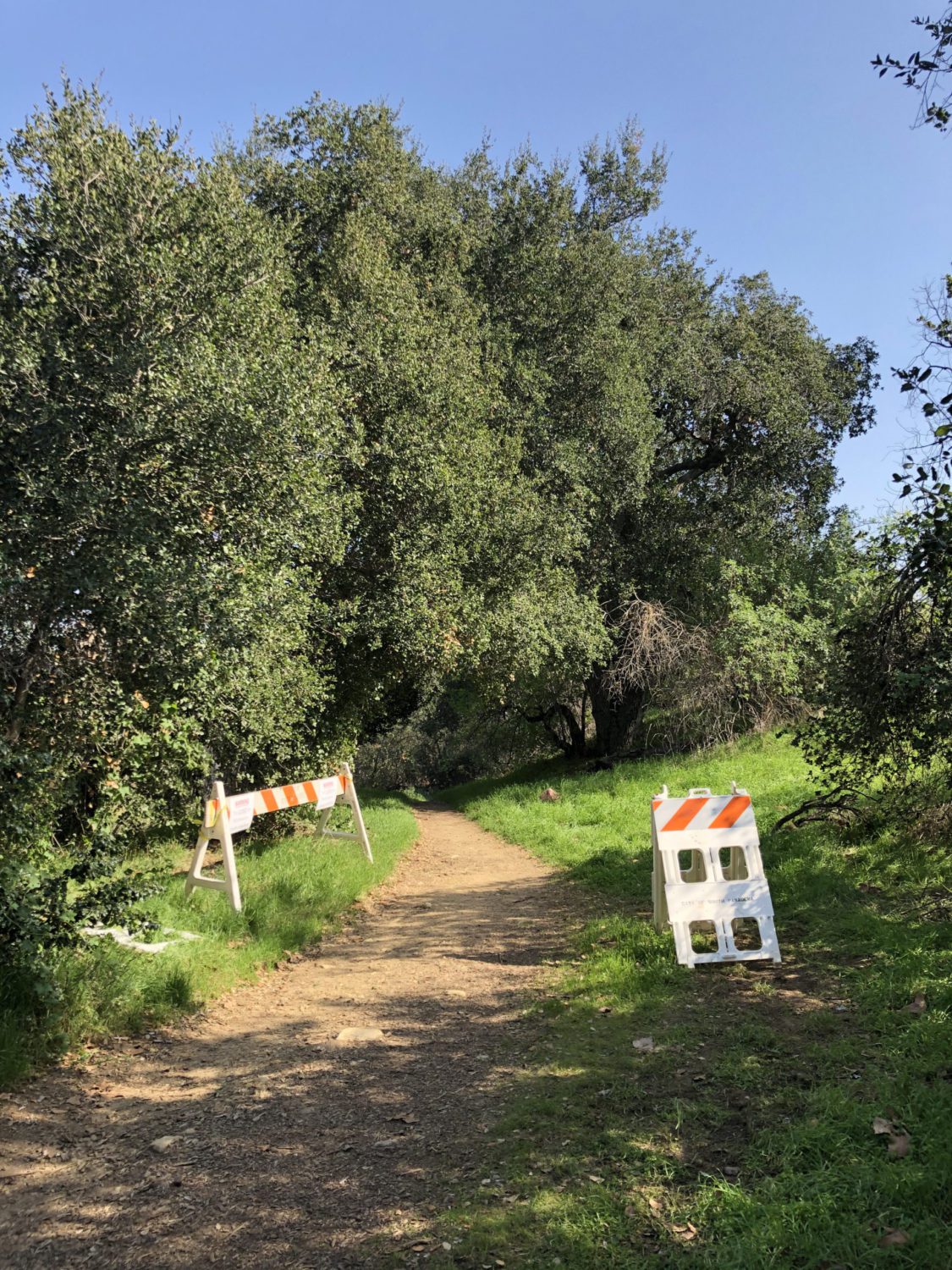 | The South Pasadenan | South Pasadena News