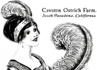 Throwback Thursday | The Cawston Girls