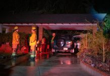 Power Outage | Tree Falls on Electrical Wires on Indiana Ave
