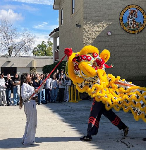 PHOTO: Megan Gardner | The South Pasadenan | SPMS students interact with The Immortals lion dance team to celebrate Lunar New Year.