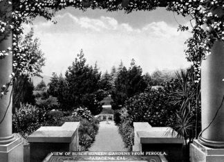 Throwback Thursday | The Wonders of Busch Gardens