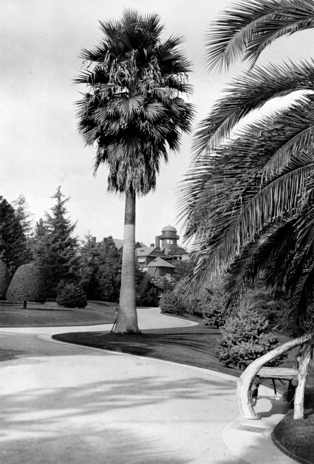 | The South Pasadenan | South Pasadena News