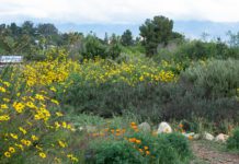 Garden Tour, Plant Swap & Sustainability Fair | Community Invited to the Nature Park South Pasadena Garden Tour, plant swap, and sustainability fair on April 11, 2026. South Pasadena Beautiful, Friends of the Nature Park, and the city of South Pasadena