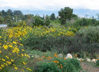 Garden Tour, Plant Swap & Sustainability Fair | Community Invited to the Nature Park South Pasadena Garden Tour, plant swap, and sustainability fair on April 11, 2026. South Pasadena Beautiful, Friends of the Nature Park, and the city of South Pasadena