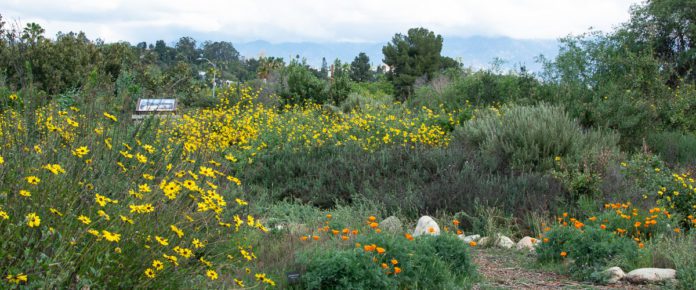 South Pasadena Garden Tour, plant swap, and sustainability fair on April 11, 2026. South Pasadena Beautiful, Friends of the Nature Park, and the city of South Pasadena