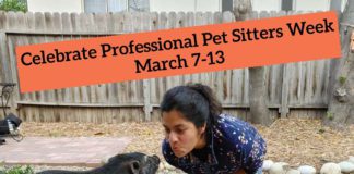 SNOUT Celebrates 27th Professional Pet Sitters Week March 7-13