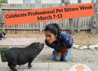 SNOUT Celebrates 27th Professional Pet Sitters Week March 7-13