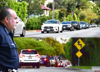 Police Chief’s Proposed Traffic Enforcement Bureau Put on Hold