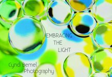 Cyndi Bemel Photography Show – Embracing The Light