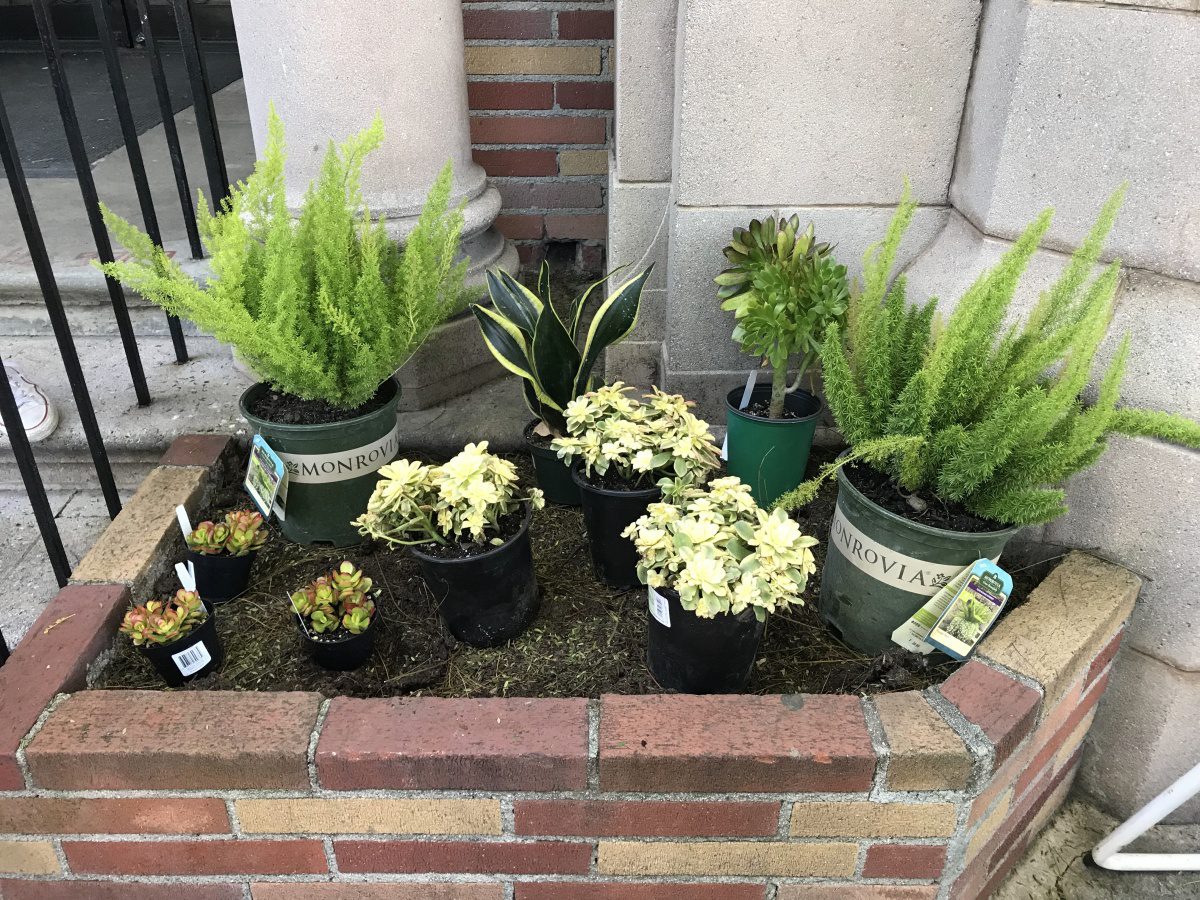 | The South Pasadenan | South Pasadena News